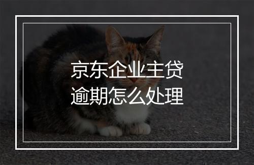 京东企业主贷逾期怎么处理