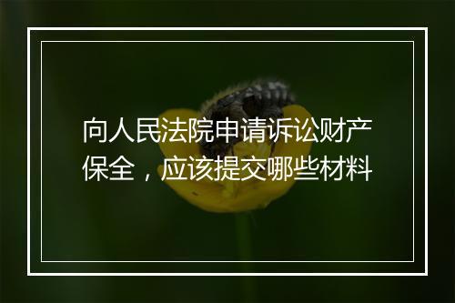 向人民法院申请诉讼财产保全，应该提交哪些材料