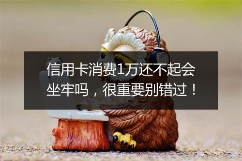 信用卡消费1万还不起会坐牢吗，很重要别错过！
