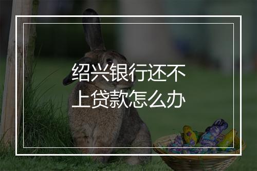 绍兴银行还不上贷款怎么办