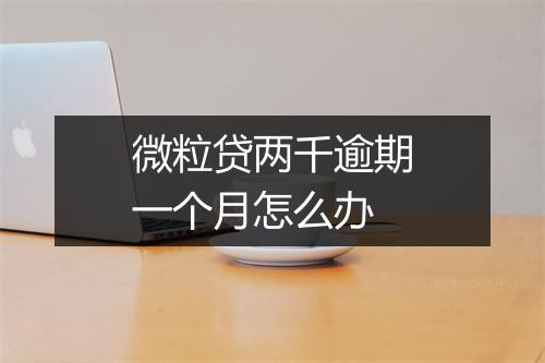 微粒贷两千逾期一个月怎么办