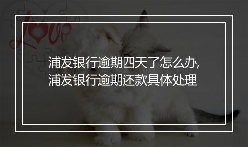 浦发银行逾期四天了怎么办,浦发银行逾期还款具体处理