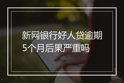 新网银行好人贷逾期5个月后果严重吗