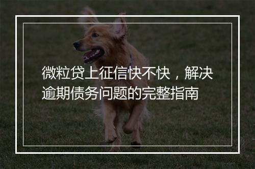 微粒贷上征信快不快，解决逾期债务问题的完整指南