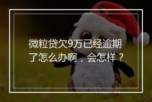 微粒贷欠9万已经逾期了怎么办啊，会怎样？