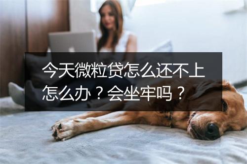 今天微粒贷怎么还不上怎么办？会坐牢吗？