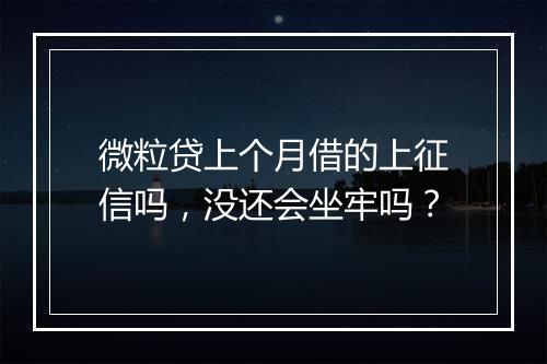 微粒贷上个月借的上征信吗，没还会坐牢吗？