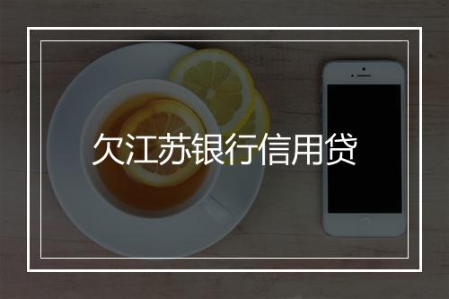欠江苏银行信用贷