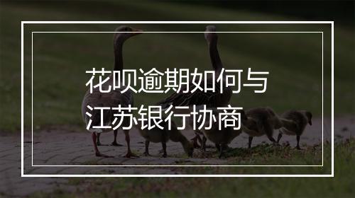 花呗逾期如何与江苏银行协商