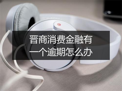 晋商消费金融有一个逾期怎么办