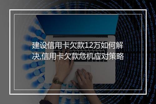 建设信用卡欠款12万如何解决,信用卡欠款危机应对策略