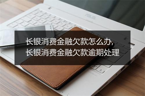 长银消费金融欠款怎么办,长银消费金融欠款逾期处理