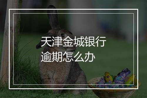 天津金城银行逾期怎么办