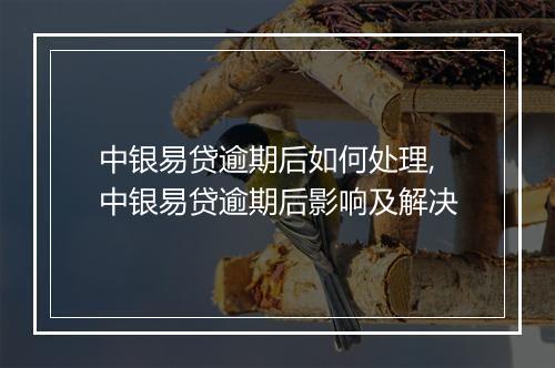 中银易贷逾期后如何处理,中银易贷逾期后影响及解决