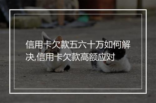 信用卡欠款五六十万如何解决,信用卡欠款高额应对
