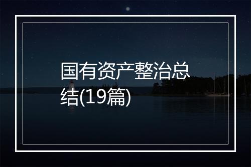 国有资产整治总结(19篇)