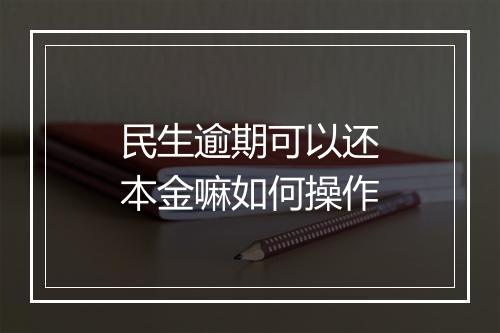 民生逾期可以还本金嘛如何操作