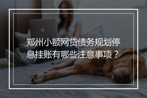 郑州小额网贷债务规划停息挂账有哪些注意事项？
