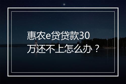 惠农e贷贷款30万还不上怎么办？