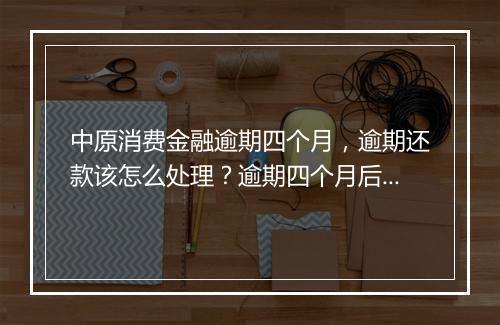 中原消费金融逾期四个月，逾期还款该怎么处理？逾期四个月后的后果是什么？