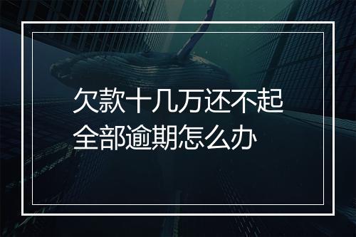 欠款十几万还不起全部逾期怎么办