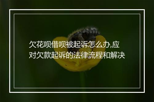 欠花呗借呗被起诉怎么办,应对欠款起诉的法律流程和解决