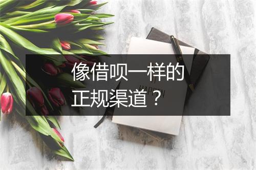 像借呗一样的正规渠道？