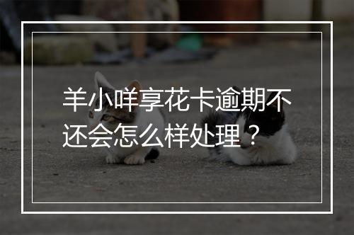 羊小咩享花卡逾期不还会怎么样处理？