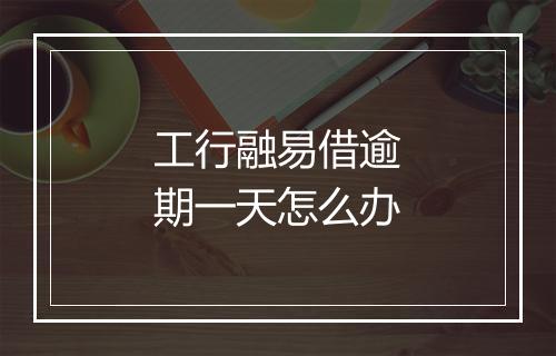 工行融易借逾期一天怎么办