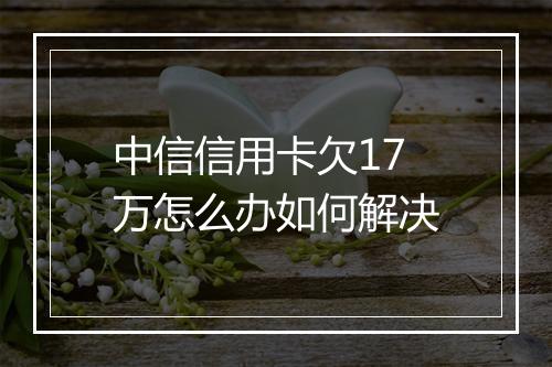 中信信用卡欠17万怎么办如何解决