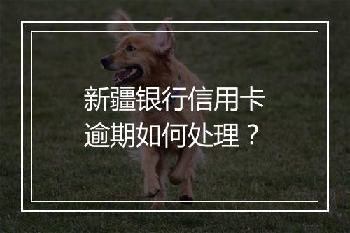 新疆银行信用卡逾期如何处理？