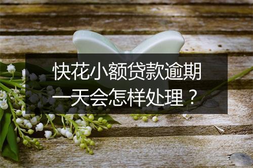 快花小额贷款逾期一天会怎样处理？