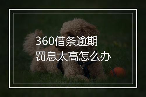 360借条逾期罚息太高怎么办