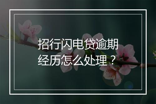 招行闪电贷逾期经历怎么处理？
