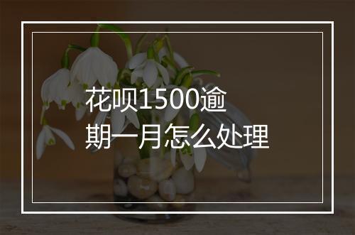 花呗1500逾期一月怎么处理