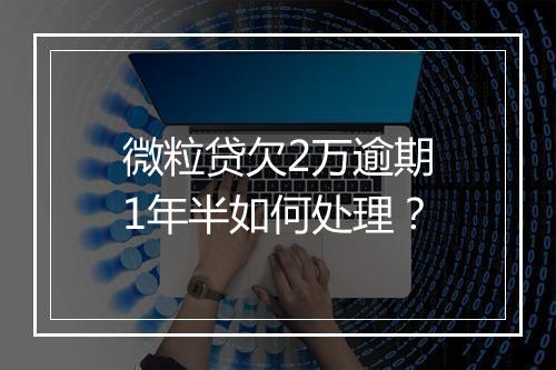 微粒贷欠2万逾期1年半如何处理？