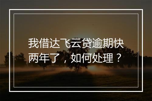 我借达飞云贷逾期快两年了，如何处理？