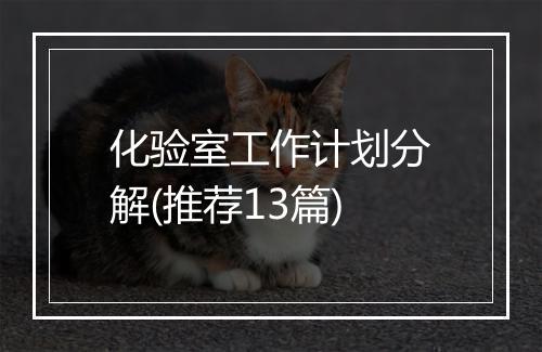 化验室工作计划分解(推荐13篇)