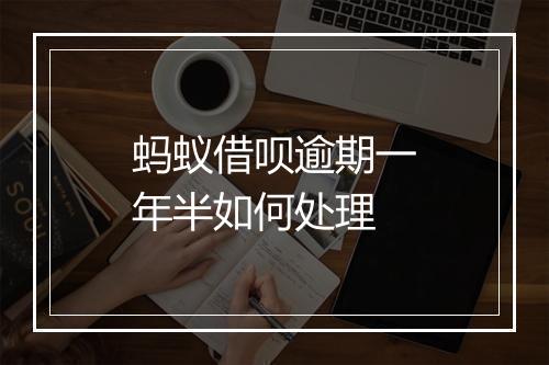 蚂蚁借呗逾期一年半如何处理