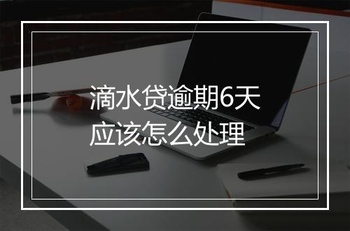 滴水贷逾期6天应该怎么处理