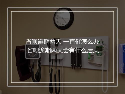 省呗逾期两天 一直催怎么办,省呗逾期两天会有什么后果