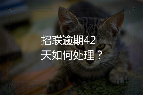 招联逾期42天如何处理？