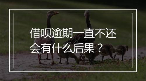 借呗逾期一直不还会有什么后果？
