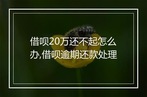 借呗20万还不起怎么办,借呗逾期还款处理