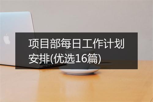 项目部每日工作计划安排(优选16篇)