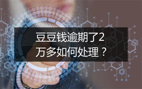 豆豆钱逾期了2万多如何处理？