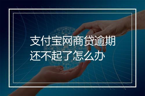 支付宝网商贷逾期还不起了怎么办