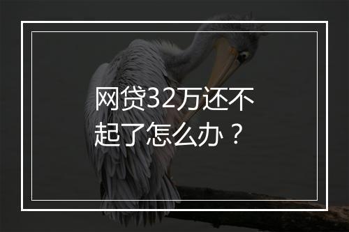 网贷32万还不起了怎么办？