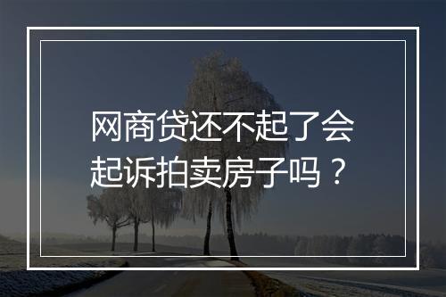 网商贷还不起了会起诉拍卖房子吗？