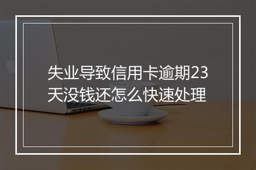失业导致信用卡逾期23天没钱还怎么快速处理